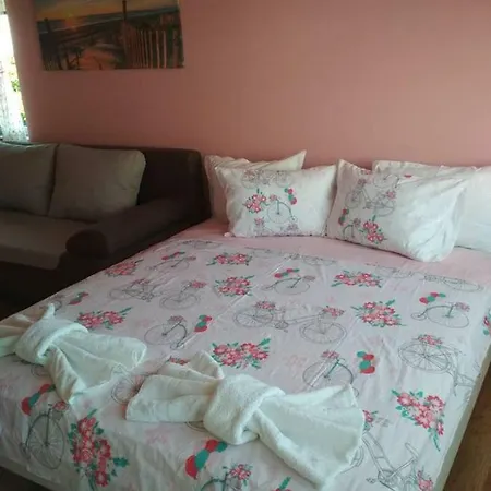 Zafi's House * Черноморец