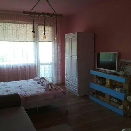 Zafi's House *