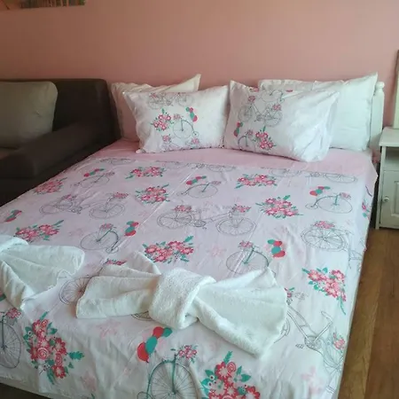 Zafi's House 切尔诺莫雷茨